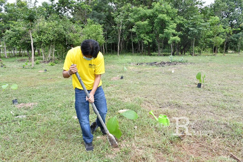 20210526-Tree planting dayt-065.JPG